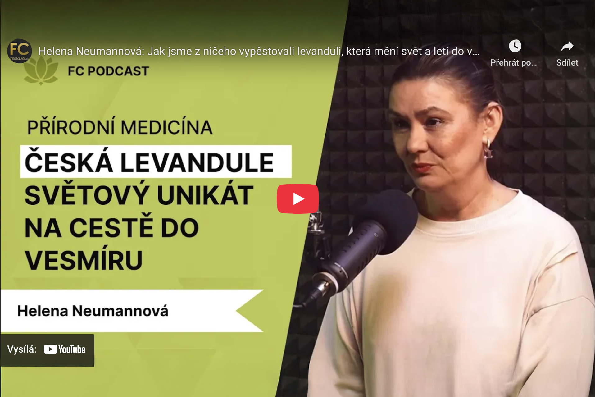 Zapomeňte na Provence. Nejvzácnější levandule roste v Česku