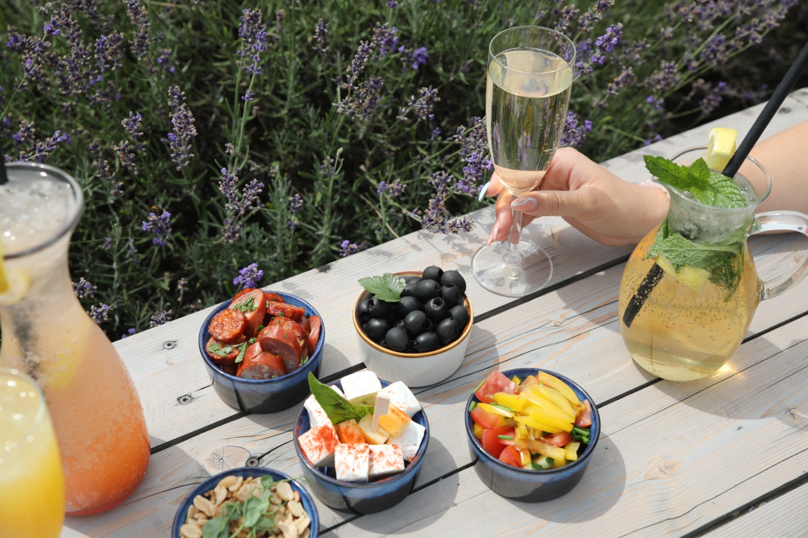 Koktejlové večery s tapas při západu slunce: Užijte si nezapomenutelné večery v Levandulovém údolí