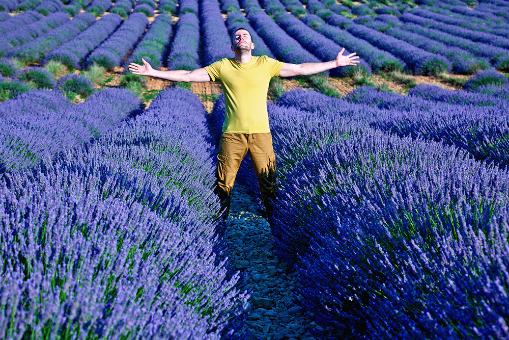 Let it all out in the Lavender Valley - Special offer for students!