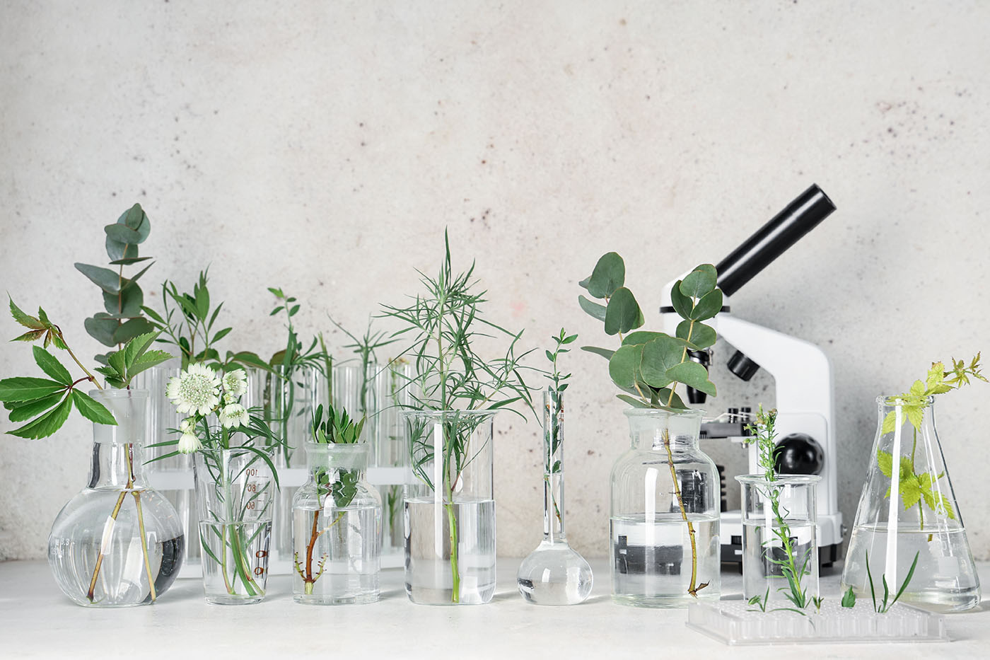 Zajímavosti ze světa bylin, vědy a přírodní medicíny