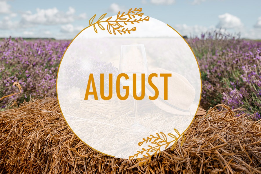 AUGUST in the Lavender Valley