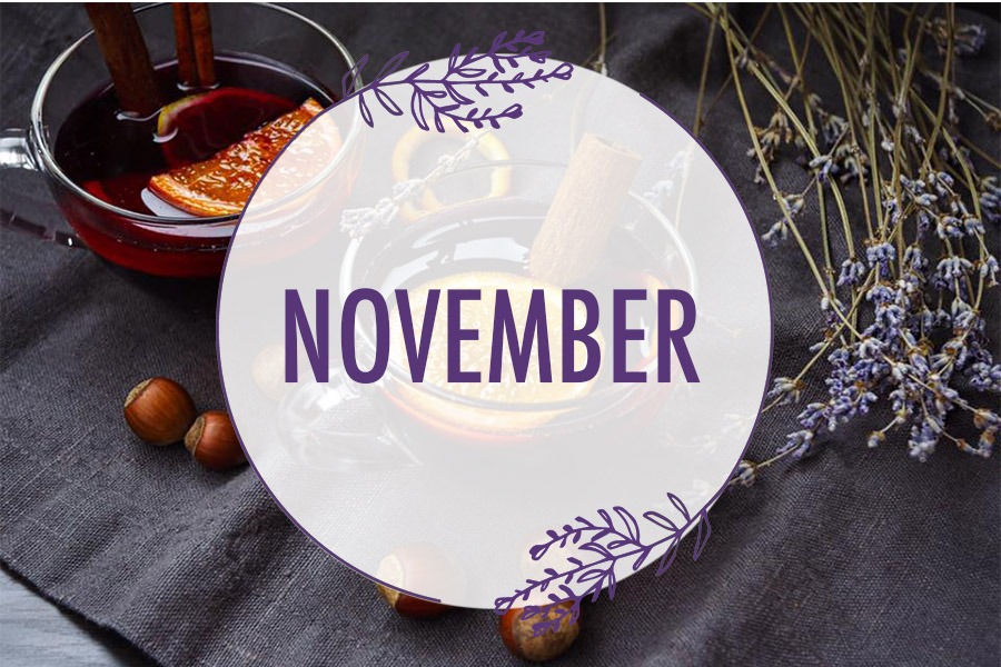 NOVEMBER in the Lavender Valley