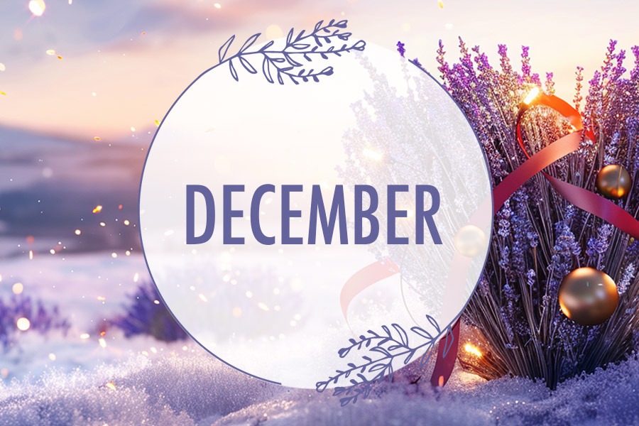 DECEMBER in the Lavender Valley