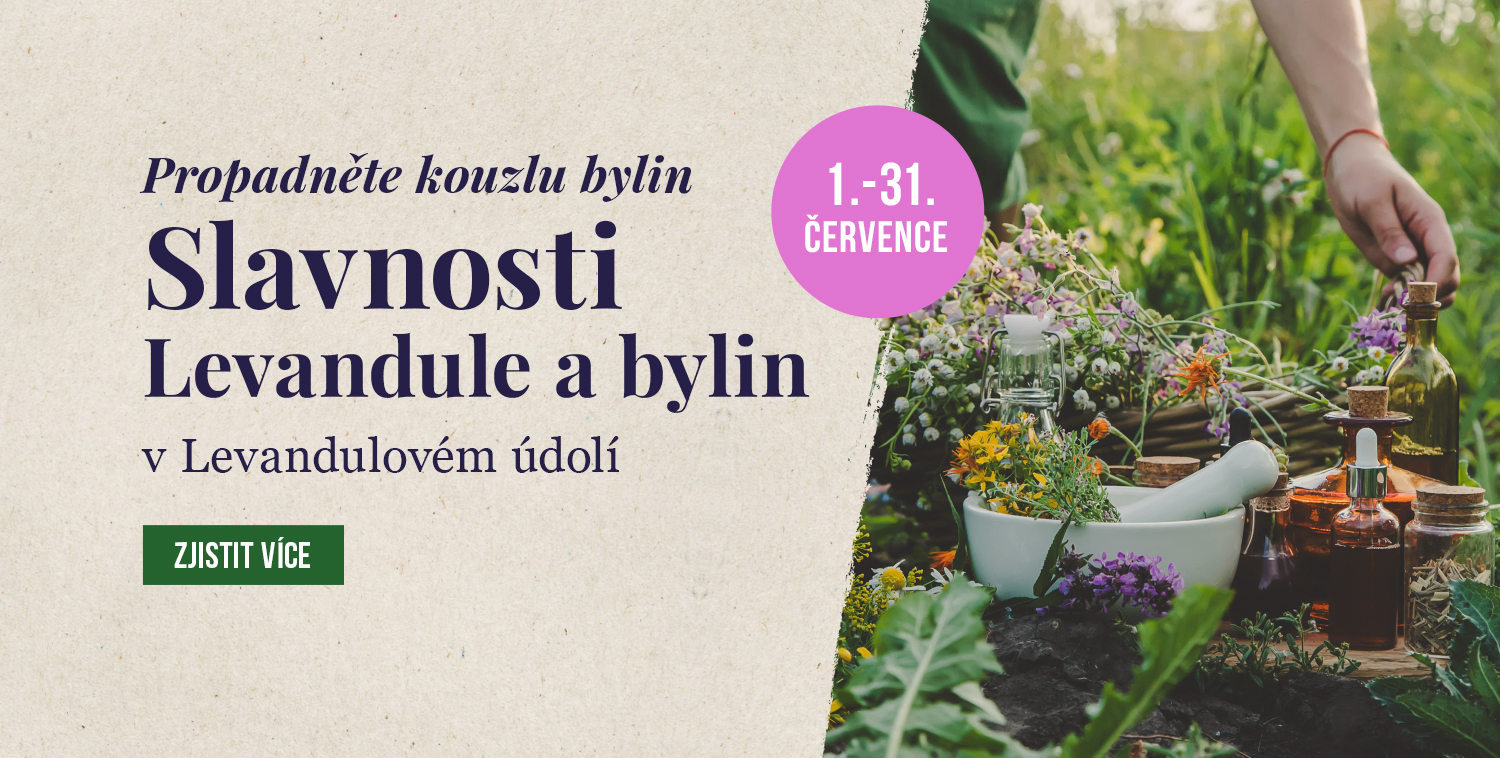 ČERVENEC JE MĚSÍCEM LEVANDULOVÝCH SLAVNOSTÍ A SKLIZNĚ
