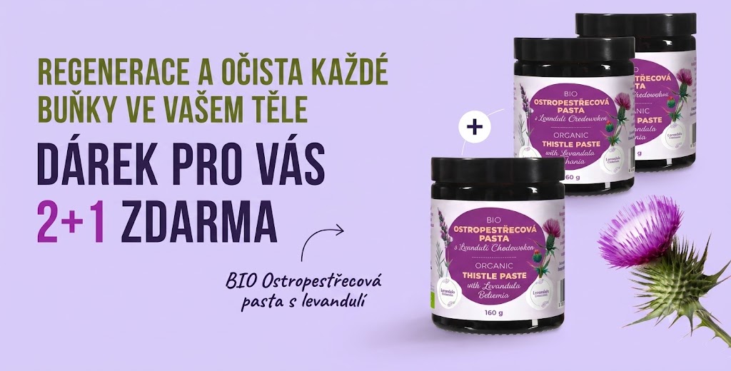 Pasta 2+1