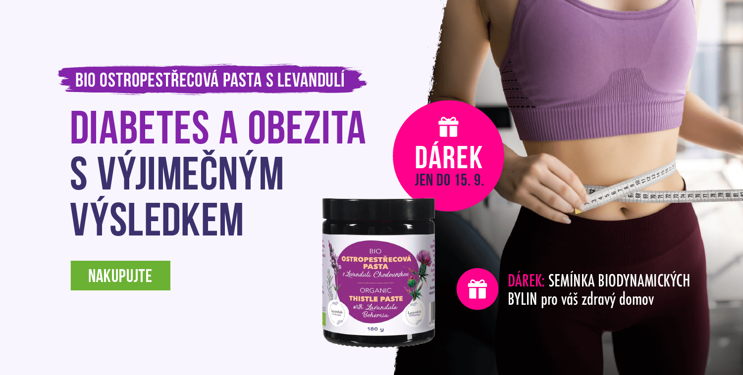 Pasta v akci