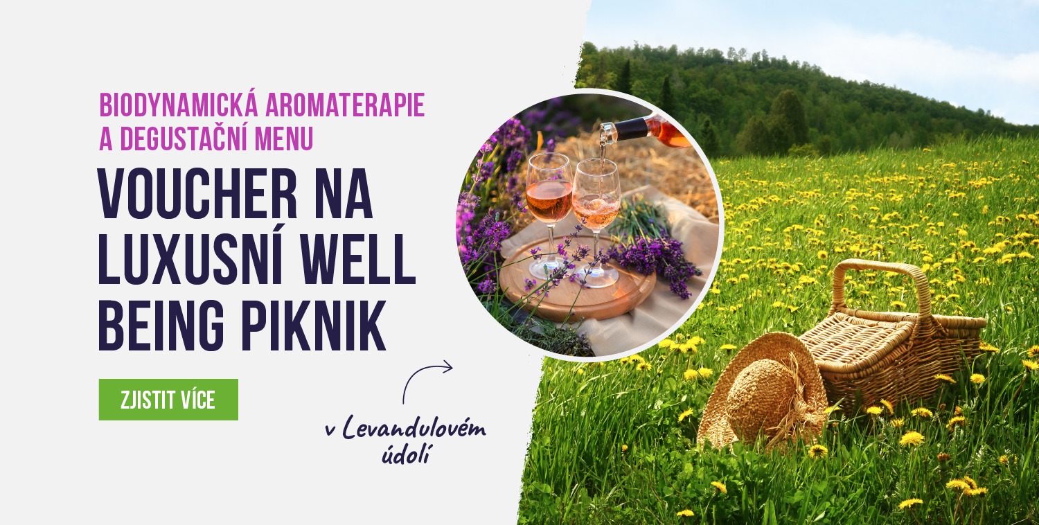Piknik