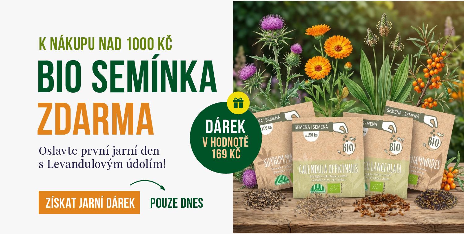 sobota-darek-seminka