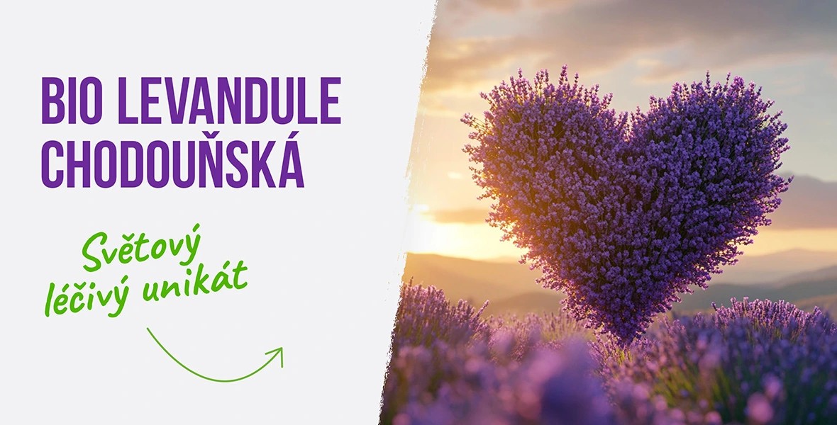 levandule
