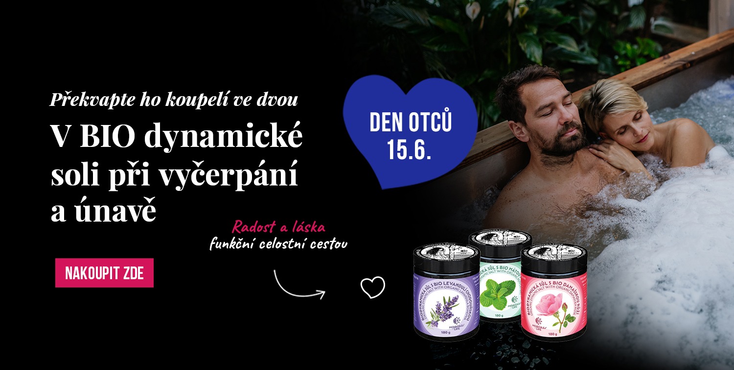 Den otců soli