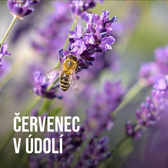 Červenec v údolí