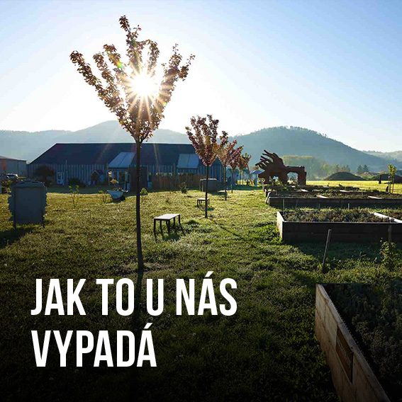Jak to u nás vypadá