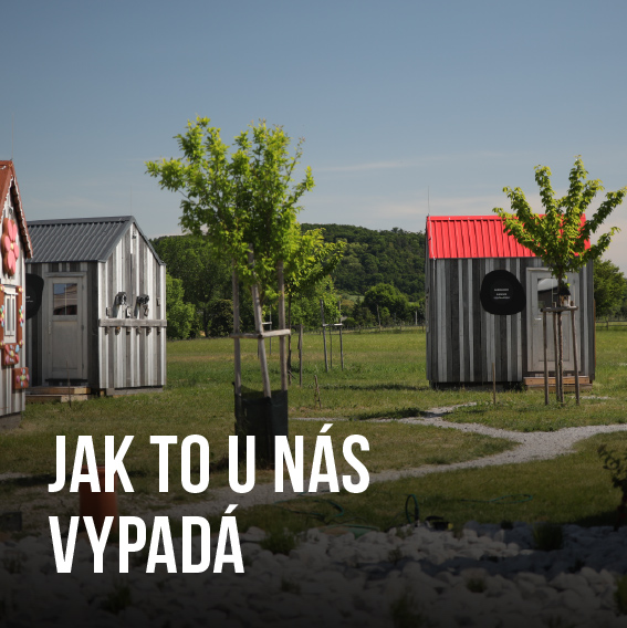 Jak to u nás vypadá