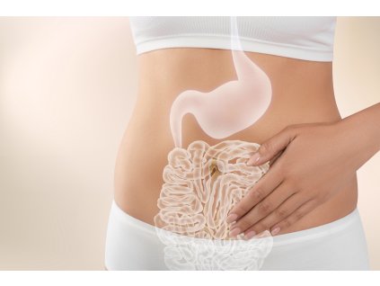 shutterstock 2364587419