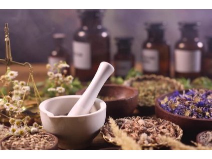 ORGANIC Lavender workshop – create your own Organic cream in the Lavender valley