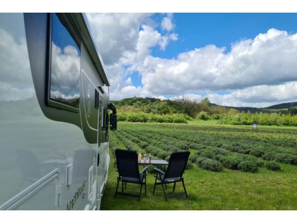 Organic Lavander Valley accomodation