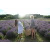 Divine weekend in ORGANIC Lavander valley