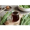 BIO Jitrocel kopinatý Plantago lanceolata SAZENICE 6