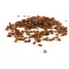 BIO Jitrocel kopinatý Plantago lanceolata SAZENICE