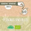 seminka jitrocel