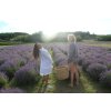 Well-being Longevity day in the Lavender Valley