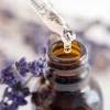 Lavandula Bohemia 2bcd9b71 56a5 4245 a372 b1809afb32ef