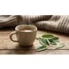 1995 1 bio salvej salvia officinalis sazenice (1)