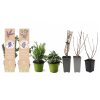 Products (Shoptet) (9)