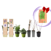 Products (Shoptet) (10)