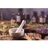 ORGANIC Lavender workshop – create your own Organic cream in the Lavender valley