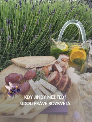 Levandule pomalu rozvíjí své fialové květy, růže voní snad ještě krásněji než kdy jindy a celé údolí se zahalilo do omamné...