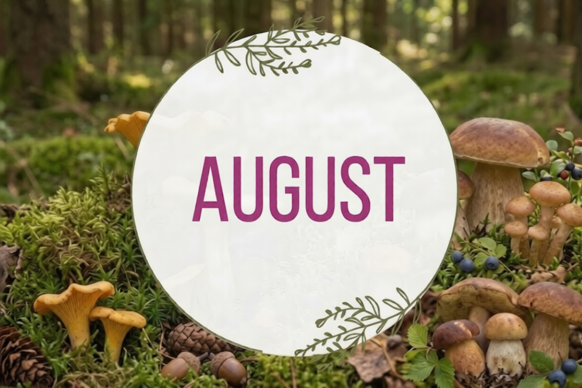 AUGUST v Levanduľovom údolí