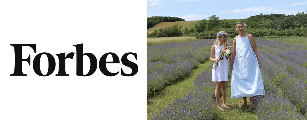 Fialové zlato. Levanduľa od Heleny Neumanovej vonia, chutia a idú na dračku aj v Škandinávii