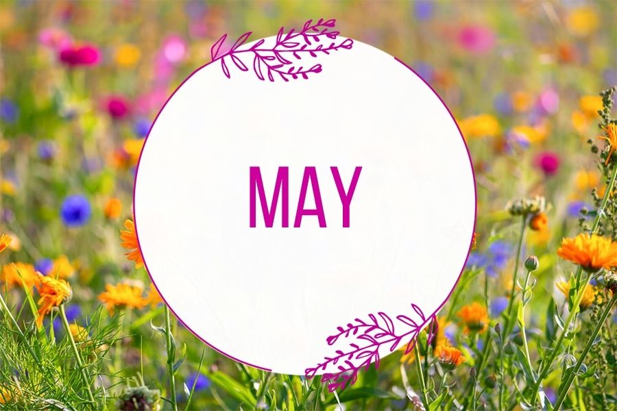 May Events