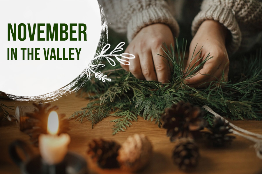 NOVEMBER in the Lavender Valley