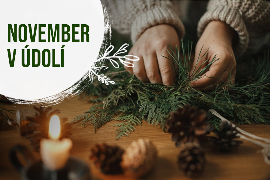 November v Levanduľovom údolí