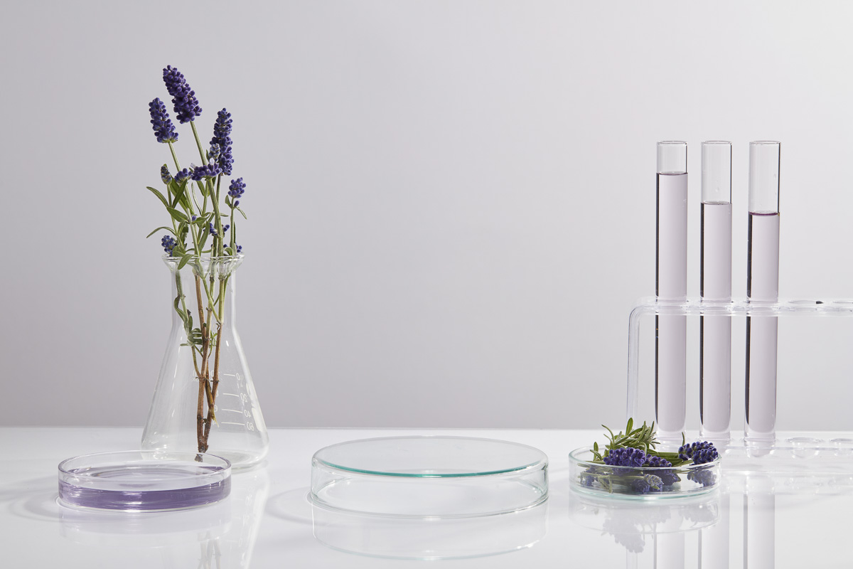 The effects of medicinal lavender in the treatment of skin diseases - acne with Skin reparator