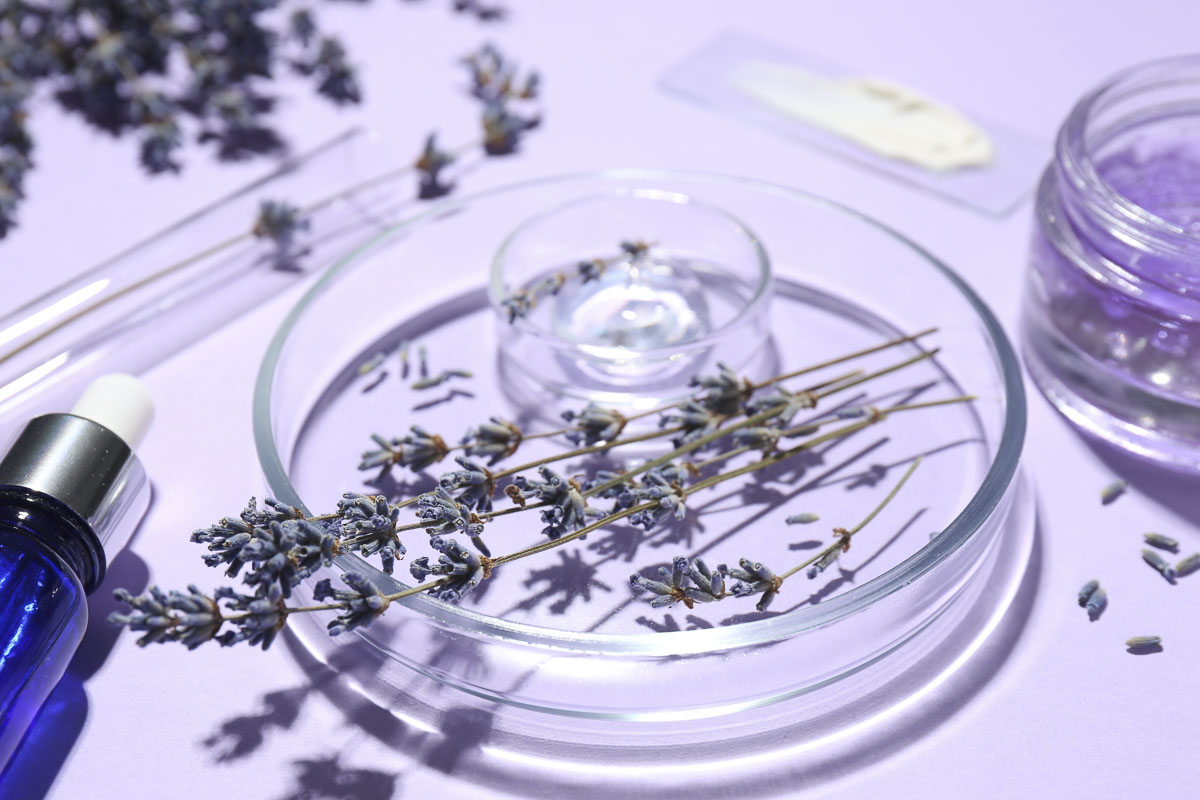 The use of medicinal lavender and its effects - Oral care, the field of dentistry