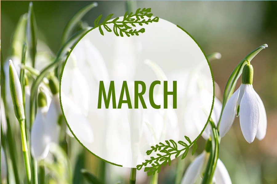 March Events