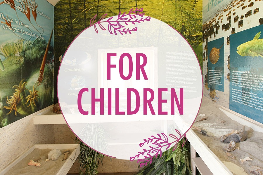 For children in the Lavender Valley