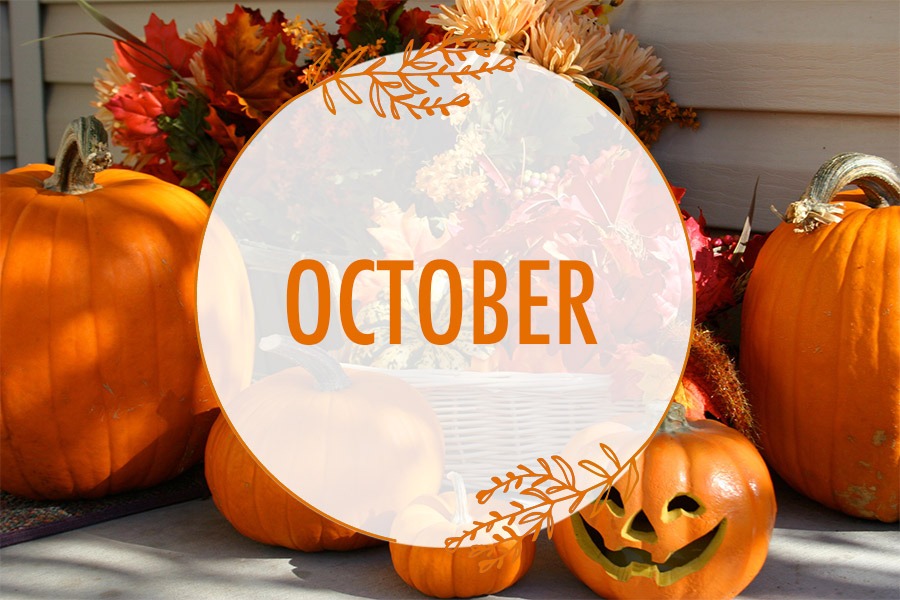 OCTOBER in the Lavender Valley