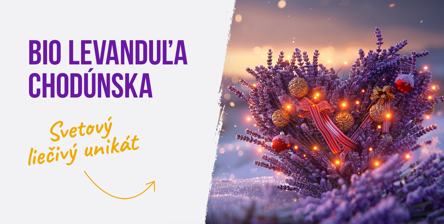 Vánoce levandule