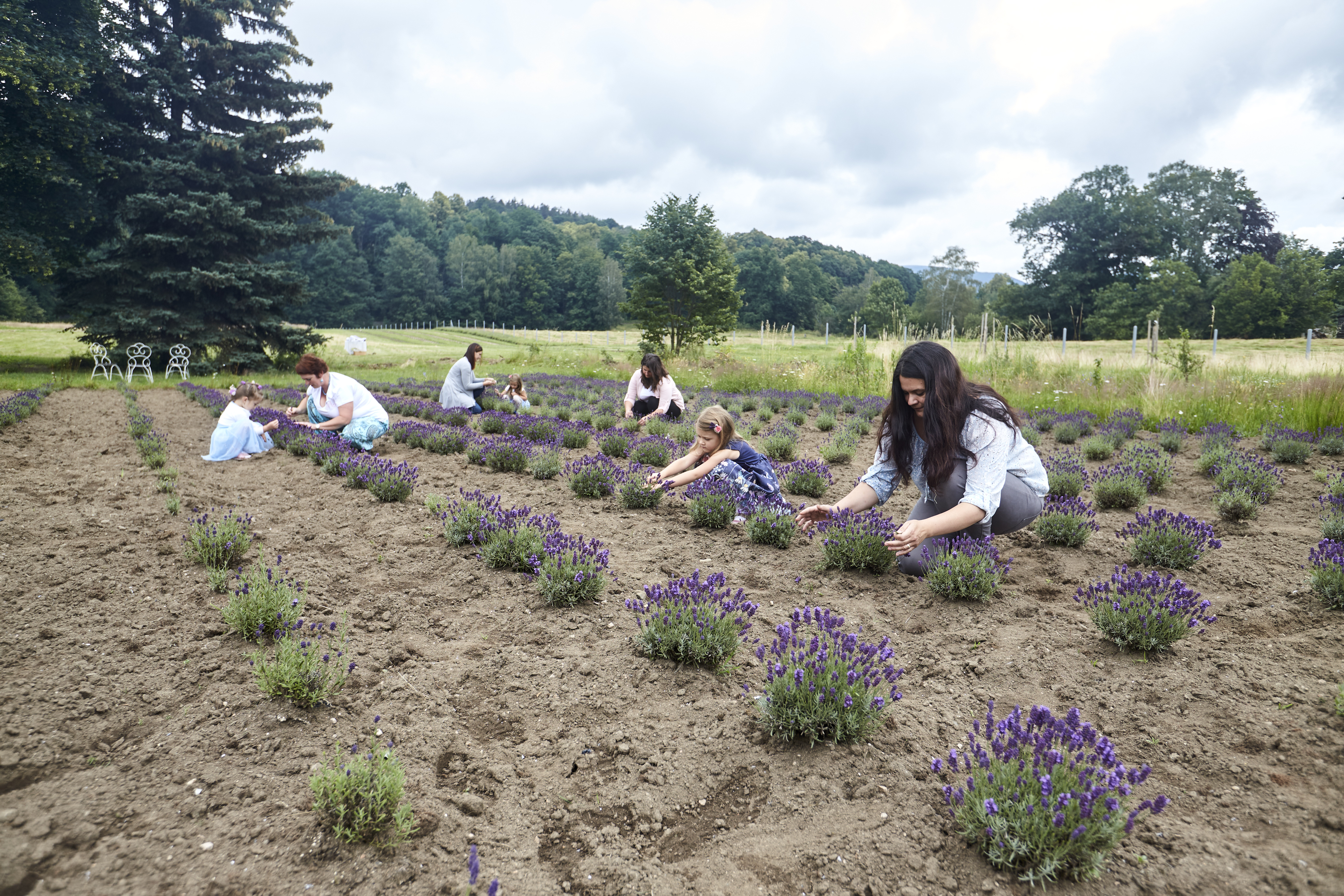 A jak to celé začalo...