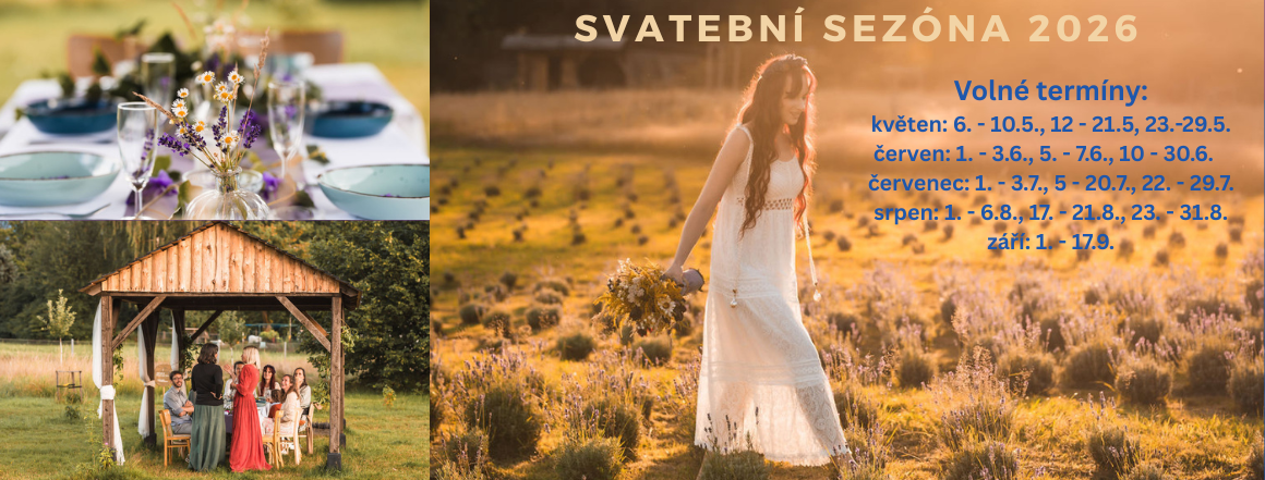 Svatby v Levandulovně