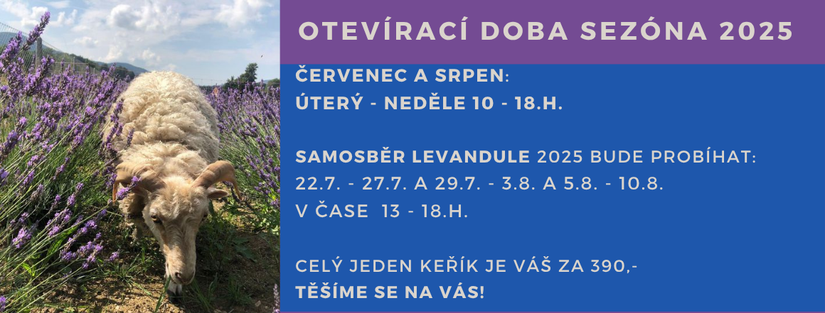 Otevírací doba v Levandulovně - sezóna 2025- úterý až neděle od 10 do 18.h. a samosběr levandule 2025 od 22.7. do 10.8. 2025 v časech od 13 do 18.h. mimo pondělí