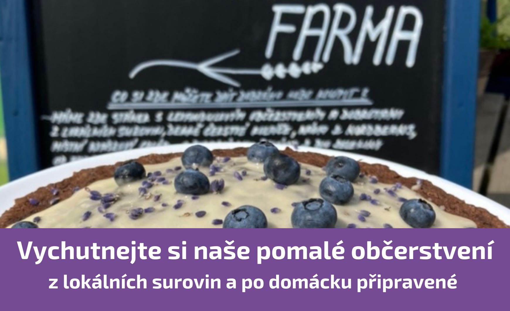 Občerstvení