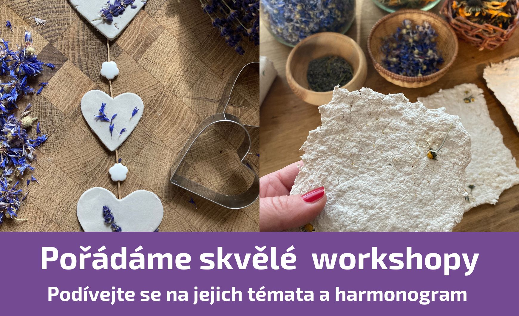 Workshopy
