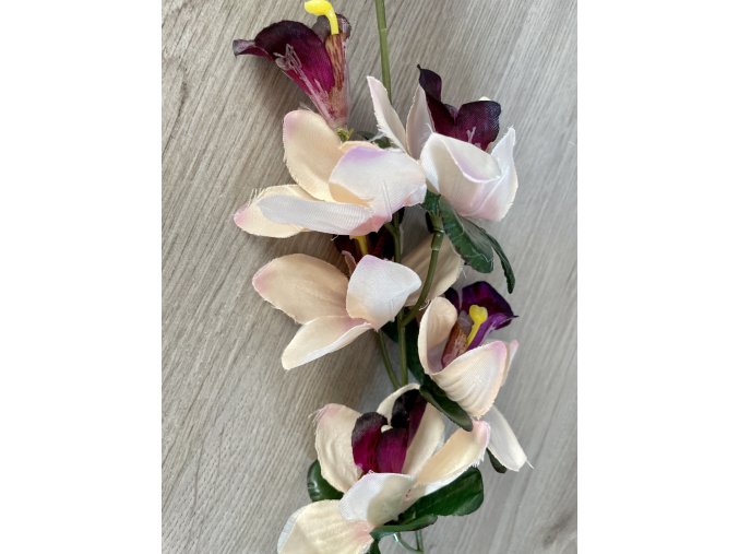 Orchidea růžovofialová