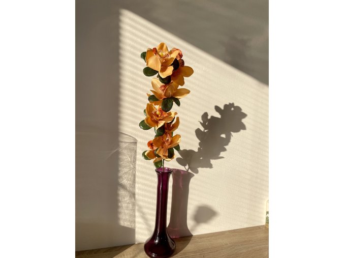 Orchidea oranžová