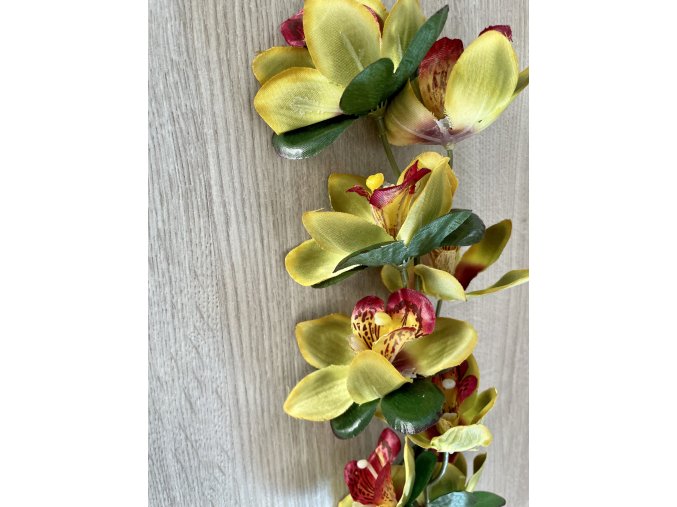 Orchidea žlutovínová